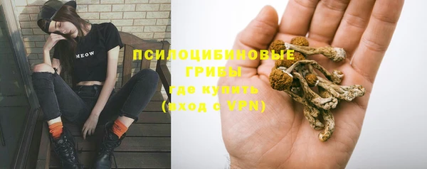 герыч Алексин