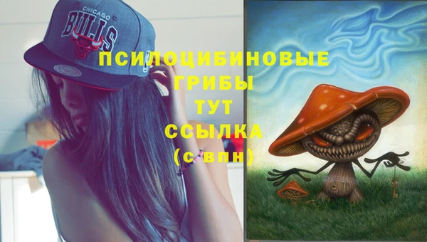 герыч Алзамай