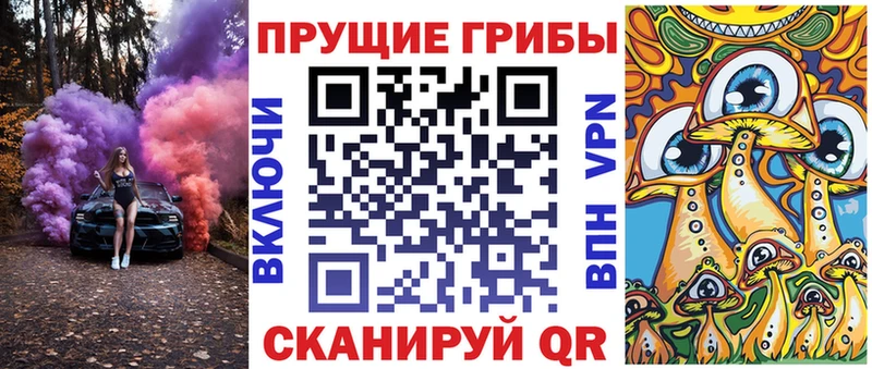 как найти закладки Отрадная Псилоцибиновые грибы Cubensis